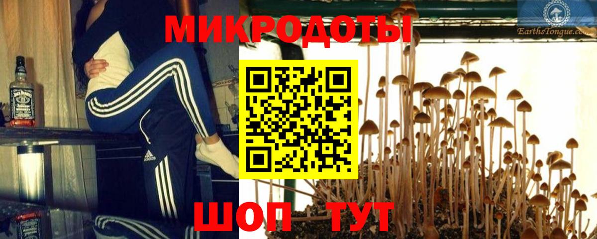 Ирбит  Псилоцибиновые грибы Psilocybe  Вход с VPN 